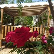 Camping Rose de Provence-Verdon
