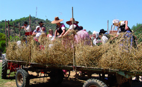 Fête du blé à Riez dans les Gorges du Verdon